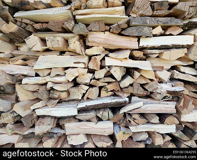 Fresh firewood chopped from the large