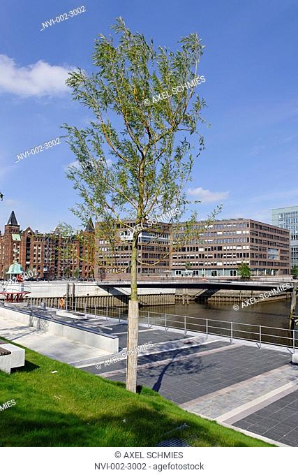 Recreation, parks and green spaces, Osakaallee, Ueberseequartier quarter HafenCity, Hamburg, Germany, Europe