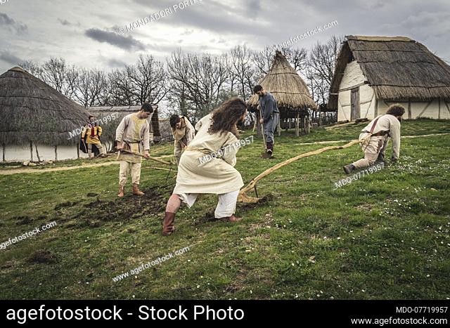 Carolingian period. Hypothetical reenactment of customs and traditions in a Frank village (9th- half 10th Century). Ploughing