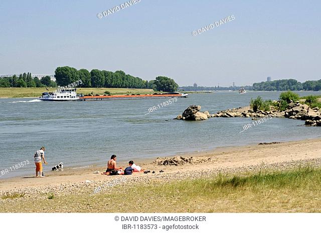 The banks of the Rhine River, North of Duesseldorf, North Rhine-Westphalia, Germany, Europe