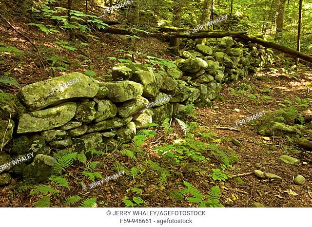 Stone Fence, Greenbrier Area, Great Smoky Mtns NP TN