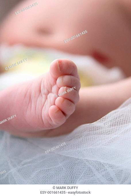 Baby foot photographed at MacMaster Studio in Moose Jaw
