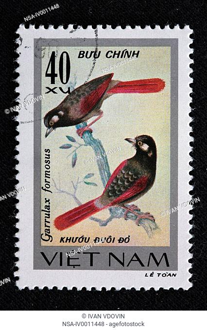 Garullax formosus, postage stamp, Vietnam
