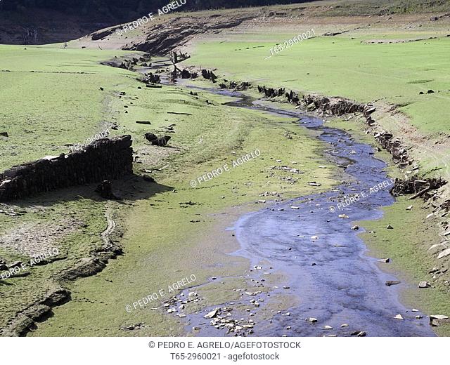 Severe drought suffered by the Peninsular Northwest. The water level, It is very low letting see old buildings. Many tributaries of the Miño River carry little...