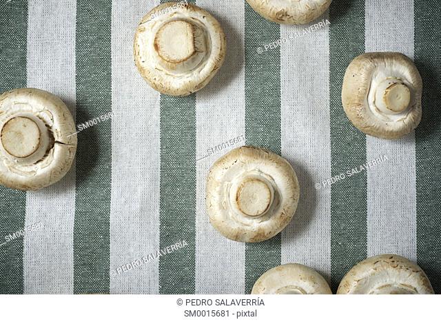 Mushrooms on a striped tablecloth