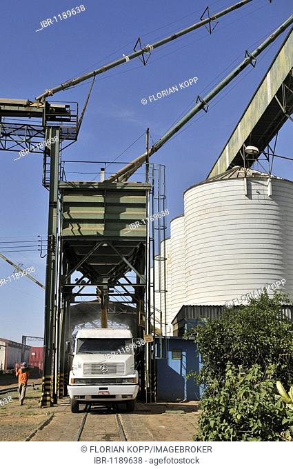 Loading a truck with soy beans from silos, Uberlandia, Minas Gerais, Brazil, South America