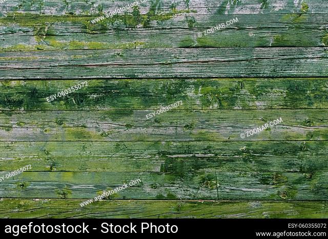 Beautiful wallpaper texture of worn green rusty paint in a wood plank wall