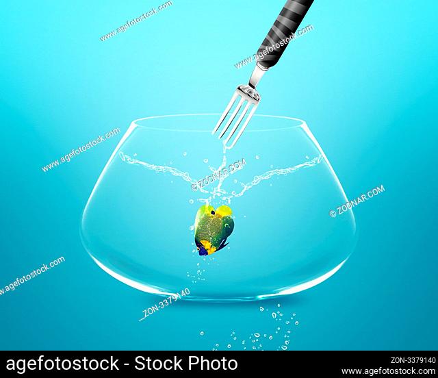 Fork catch angelfish in fishbowl , angelfish jumping and diving in fishbowl