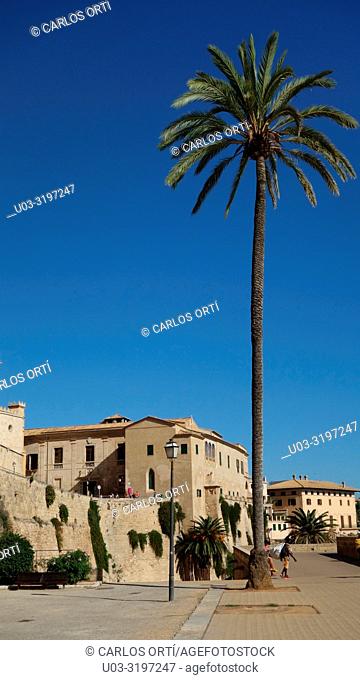 General view of the Episcopal Palace in Palma de Majorca, the Majorca's capital city, Balearic islands, Spain, Europe