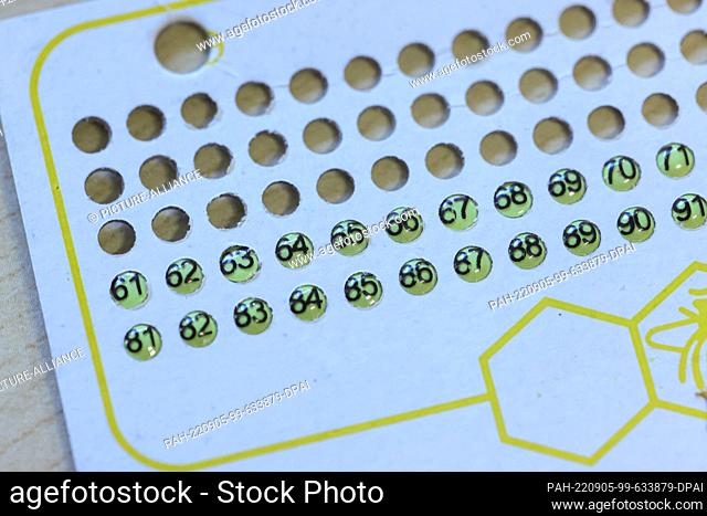 01 September 2022, Mecklenburg-Western Pomerania, Bantin: Opalite plates, each with a studbook number, lie on a table at the Bantin Beekeeping Center