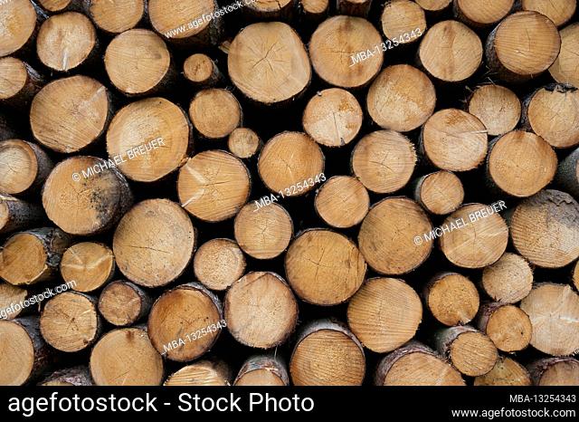 Stack of wood, summer, Spessart, Bavaria, Germany