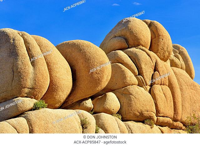 White tank granite and shrubs, Joshua Tree National Park, California, USA