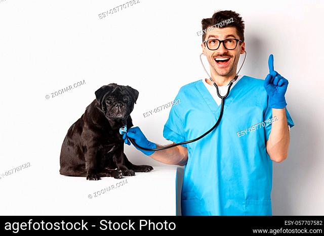 Handsome doctor veterinarian smiling, examining pet in vet clinic, checking pug dog with stethoscope, pointing finger up at promo banner, white background