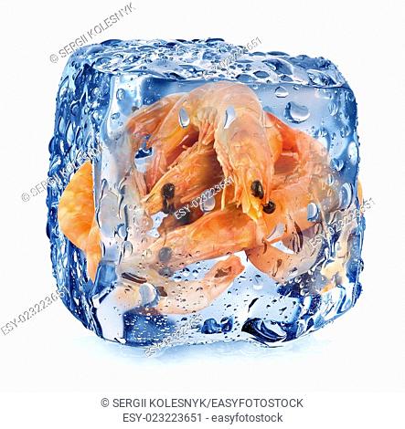 Shrimps in ice cube isolated on white