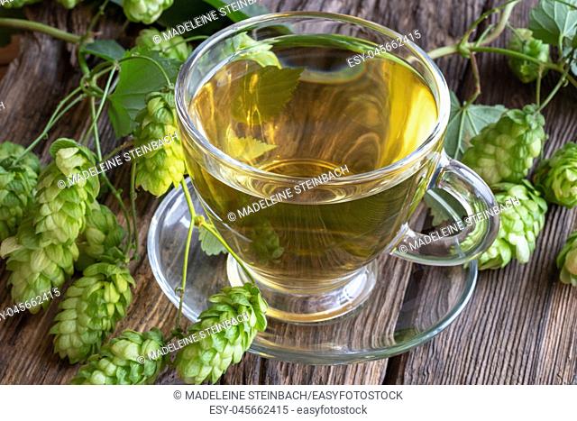 A cup of herbal tea with fresh wild hops on a rustic background