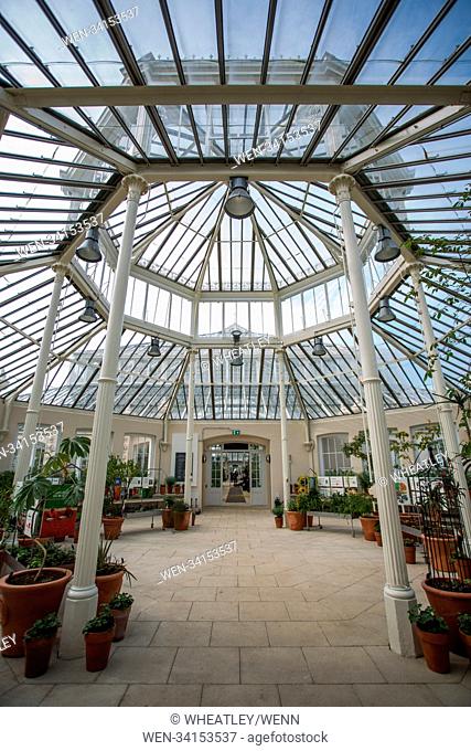 Re-opening press preview of Kew Garden's Temperate House. Modernisation & restoration complete, it will reopen to the public on 5 May 2018