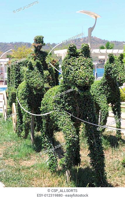 The art of topiary