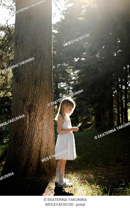 Little girl in white dress standing at a tree
