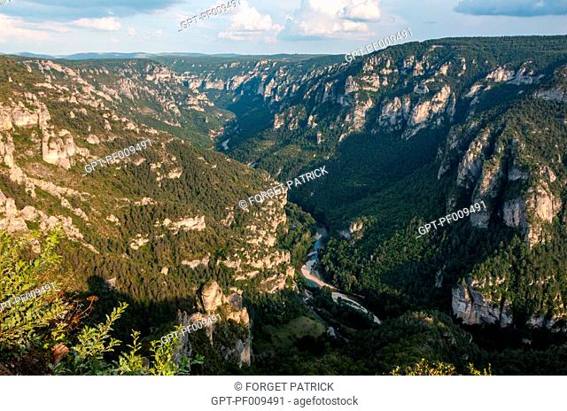 SUBLIME POINT, THE PANORAMA FROM THE GORGES DU TARN OVER THE CAUSSE DE SAUVETERRE, CIRQUE DES BAUMES, LOZERE (48), FRANCE