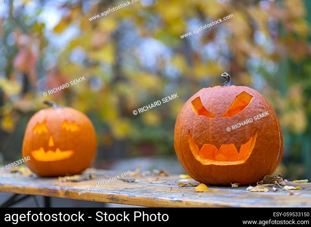 halloween pumpkin, autumn still life