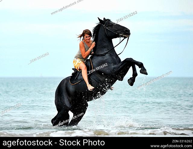 young woman and her beautiful black stallion rearing up in the sea