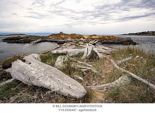 Coastal Landscape in Oak Bay, Victoria, Vancouver Island, British Columbia, Canada