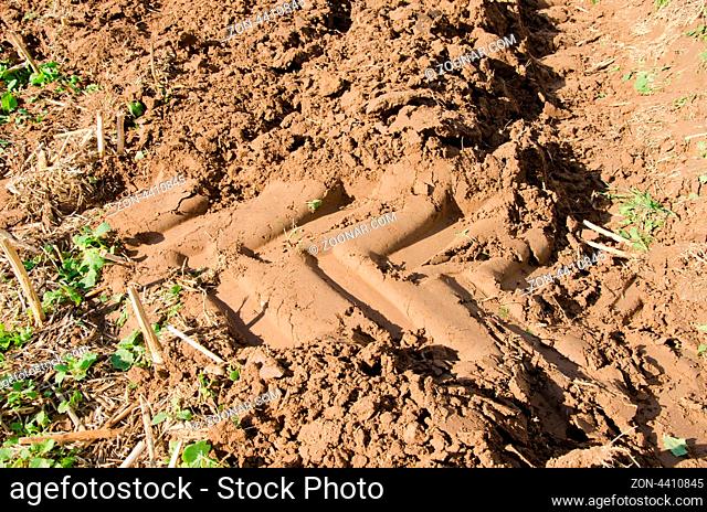 closeup of tractor heavy equipment wheel mark trail on soil of agricultural plow field