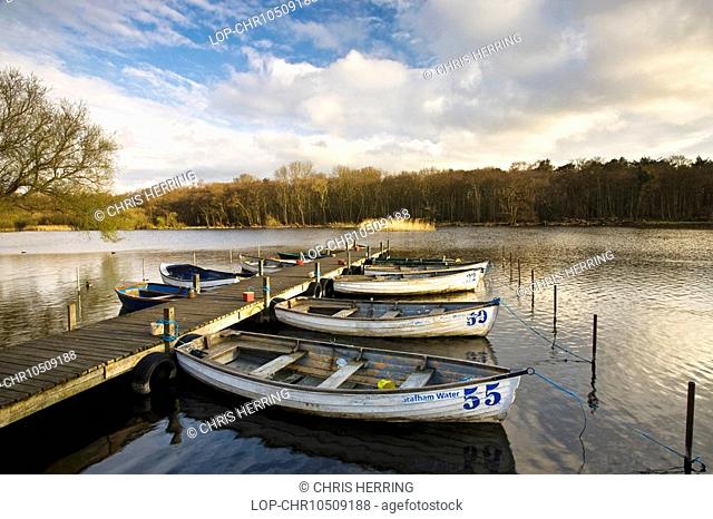 England, Norfolk, Ormesby Broad, Rowing boats tied to a jetty on Ormesby Broad in the Broads National Park in Norfolk