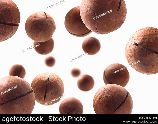 Unpeeled macadamia nuts levitate on a white background