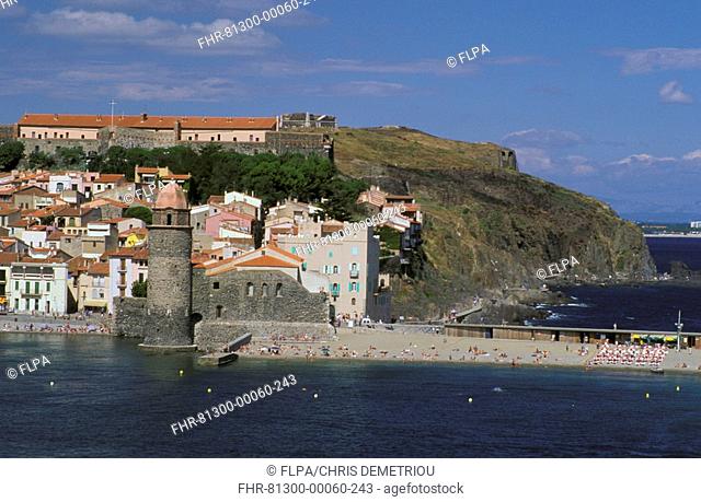 Europe - France Collioure harbour, Languedoc/Roussilon region, South France