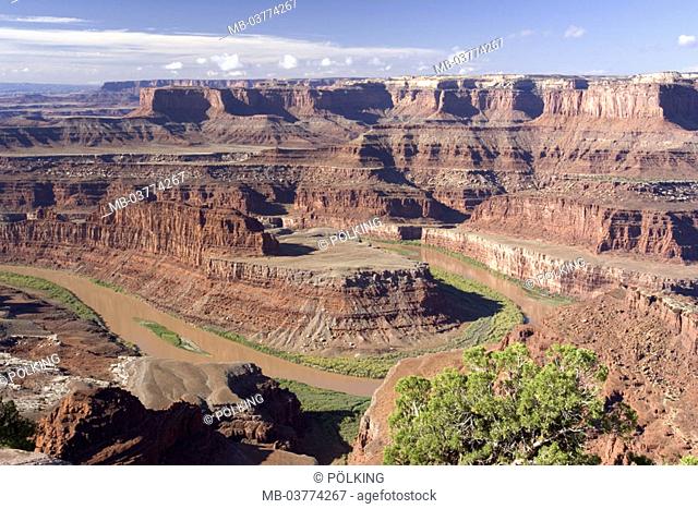 USA, Utah, Dead Horse Point State park,  Colorado River  North America,  United States of America, West coast, West-USA Statepark Canyon country