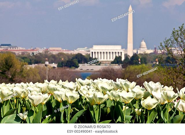 Washington DC Skyline with Lincoln Memorial, Washington Monument and the Capitol
