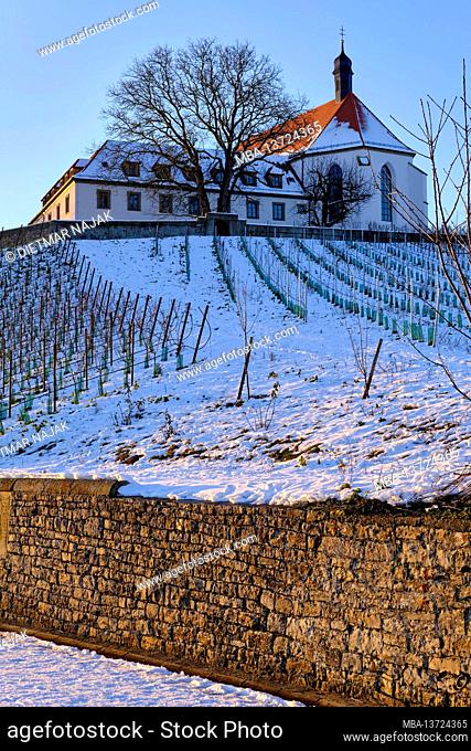 Vogelsburg and vineyards on the Volkacher Mainschleife in winter, Unterfanken, Bavaria, Germany