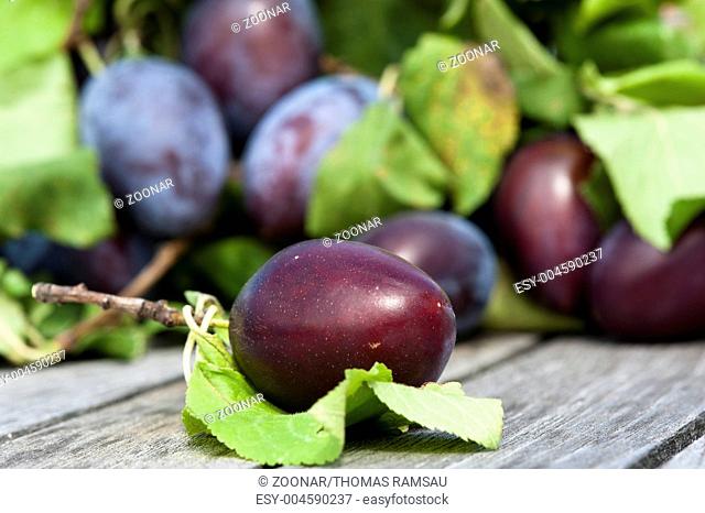 fresh Plums with leaves on wood