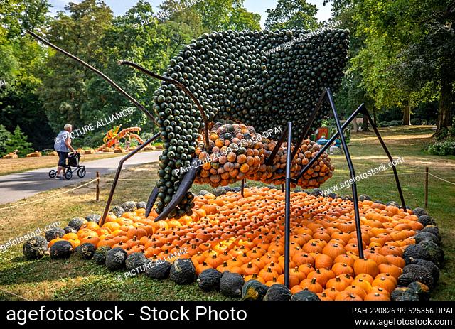 26 August 2022, Baden-Wuerttemberg, Ludwigsburg: A leaf-cutter ant built from pumpkins by artist Pit Ruge can be seen at the beginning of the Ludwigsburg...