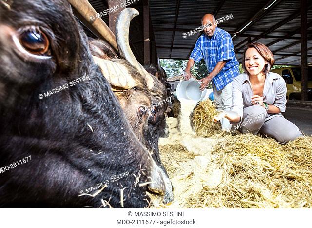 Minister of agricultural, food and forestry policies Nunzia De Girolamo posing for a photo shooting at Masseria Abate, an organic dairy farm built on lands...