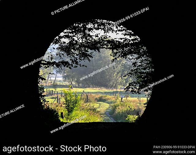06 September 2023, Brandenburg, Frankfurt (Oder): View through a tunnel of the landscape near the German-Polish border river Oder on the outskirts of the city...