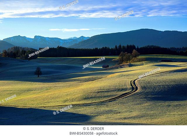 view to Ammergau Alps in autumn, Germany, Bavaria, Wildsteig
