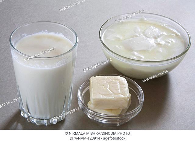Full glass of milk curd yogurt dahi and cheese made from milk or dairy product , India