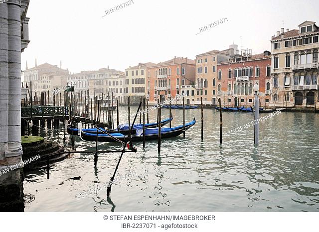 Gondolas on the Grand Canal, Palazzo Giustinian Perisco, Palazzo Tiepoletto Passi, Palazzo Soranzo Pisani, Palazzo Tiepolo Passi, Venice, Venezia, Veneto, Italy