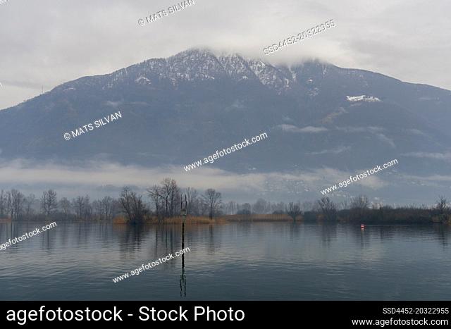 Waterfront Bare Tree and Mountain with Storm Clouds in Locarno, Switzerland