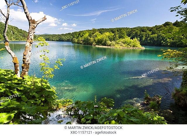The Plitvice Lakes in the National Park Plitvicka Jezera in Croatia  The lake Kozjak  The Plitvice Lakes are a string of lakes connected by waterfalls  They are...