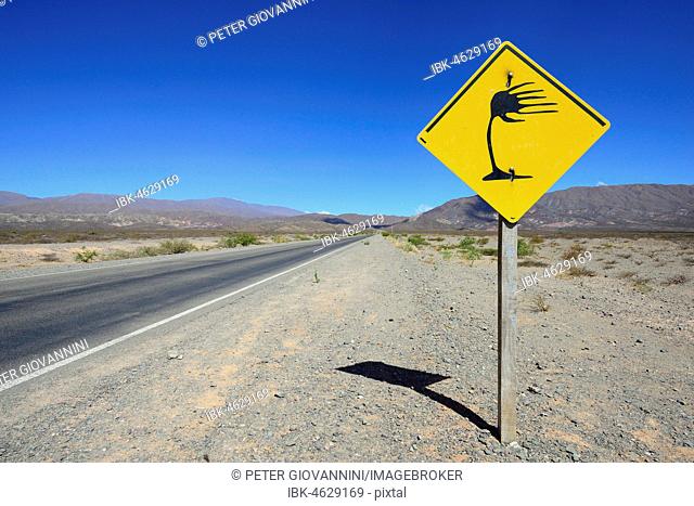Warning sign crosswind at RP 33, near Cachi, Salta, Argentina