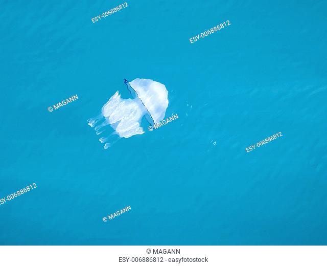 An image of a jelly fish in the Mediterranean Sea