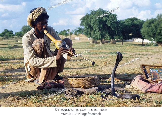 Snake charmer. Rajasthan ( India)