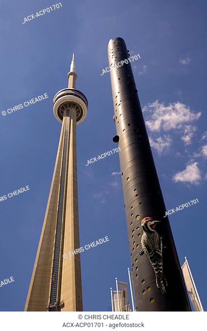 'fastwurms' Woodpecker Column sculpture and CN Tower of Toronto, Ontario, Canada