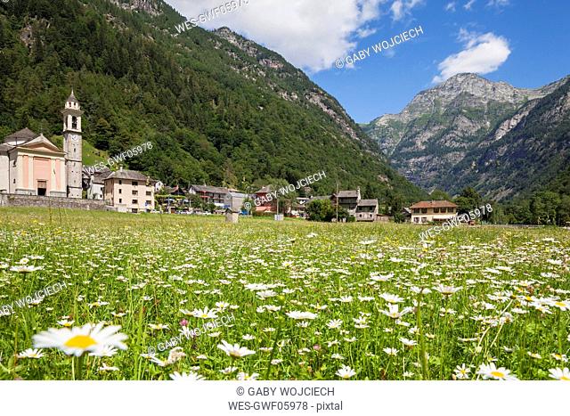 Switzerland, Ticino, Sonogno village, alpine meadow