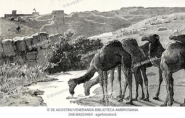 Camels drinking at Chotiali, British Zhob Valley Expedition to chastise the Kakar Pathans, 1884, Pakistan, engraving from a sketch by Captain O C Radford