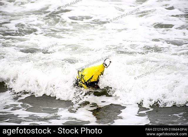 16 December 2023, Mecklenburg-Western Pomerania, Graal-Müritz: A demolished buoy floats on the Baltic coast of the seaside resort