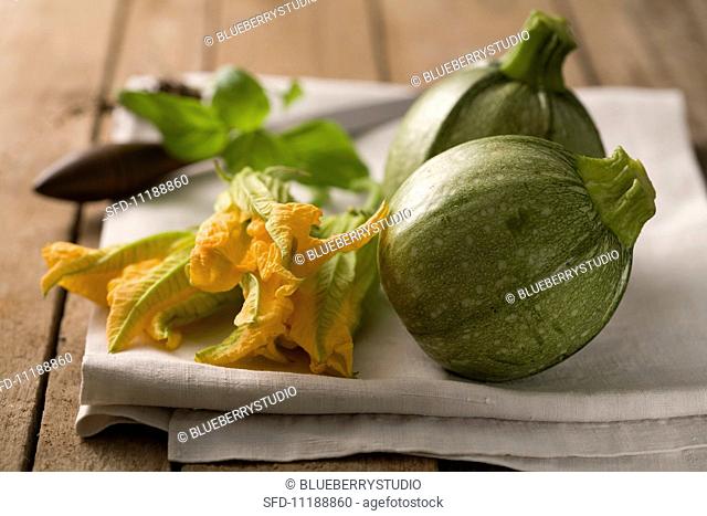 Round courgettes and courgette flowers